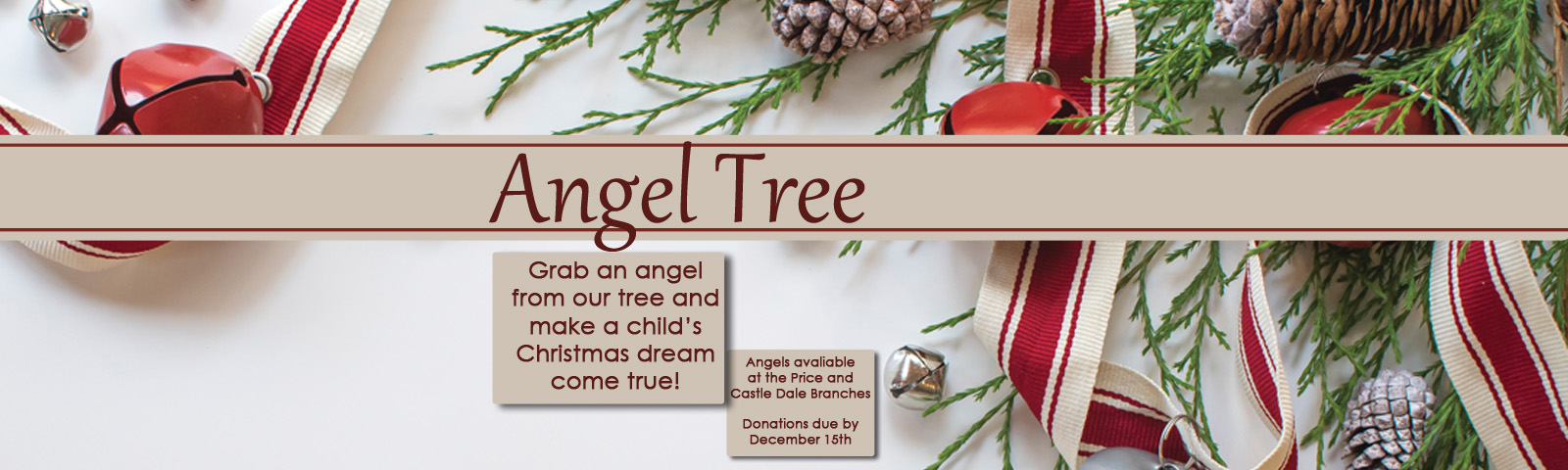 Angel Tree: Grab an angel from our tree and make a child's Christmas dream come true! Angels are avaliable at the Price and Castle Dale Branches. Donations due by December 15th.